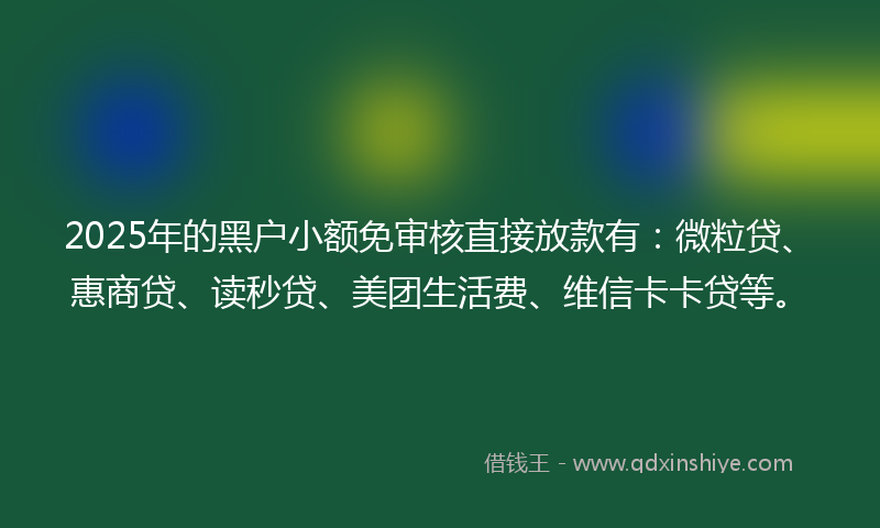 2025年的黑户小额免审核直接放款有：微粒贷、惠商贷、读秒贷、美团生活费、维信卡卡贷等。