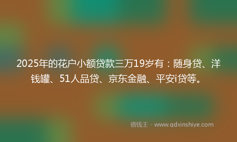 2025年的花户小额贷款三万19岁有：随身贷、洋钱罐、51人品贷、京东金融、平安i贷等。