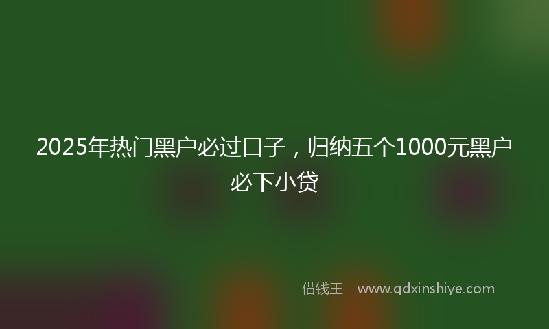 2025年热门黑户必过口子，归纳五个1000元黑户必下小贷