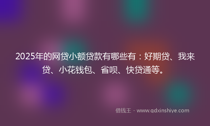 2025年的网贷小额贷款有哪些有：好期贷、我来贷、小花钱包、省呗、快贷通等。