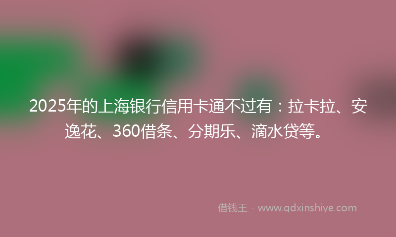 2025年的上海银行信用卡通不过有：拉卡拉、安逸花、360借条、分期乐、滴水贷等。