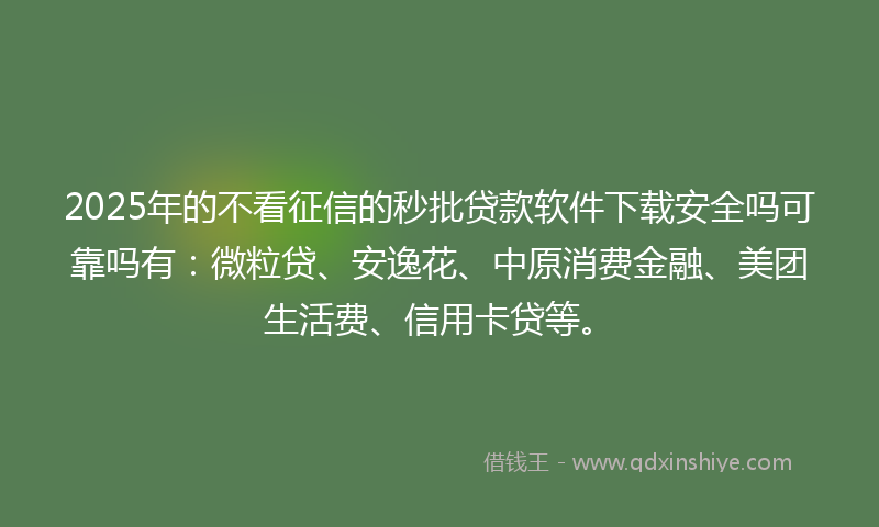 2025年的不看征信的秒批贷款软件下载安全吗可靠吗有：微粒贷、安逸花、中原消费金融、美团生活费、信用卡贷等。