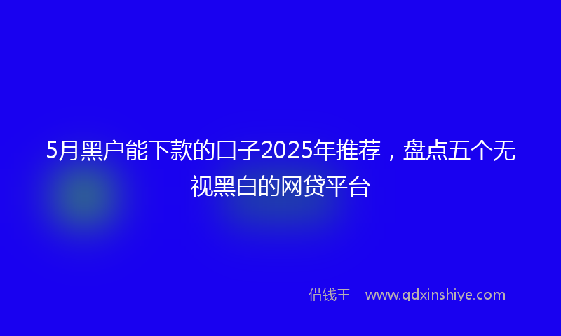 5月黑户能下款的口子2025年推荐，盘点五个无视黑白的网贷平台