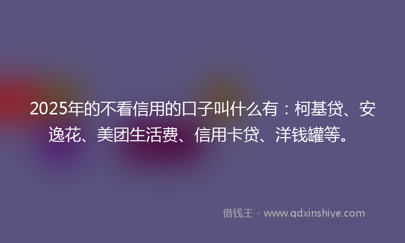 2025年的不看信用的口子叫什么有：柯基贷、安逸花、美团生活费、信用卡贷、洋钱罐等。