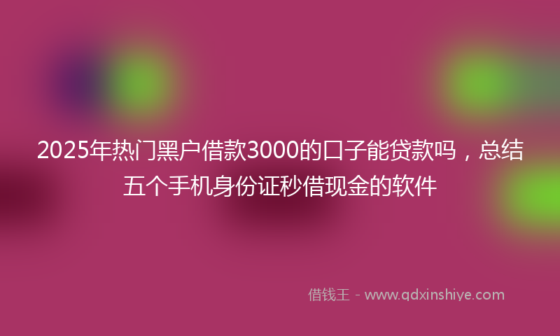 2025年热门黑户借款3000的口子能贷款吗，总结五个手机身份证秒借现金的软件