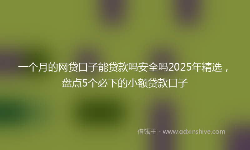一个月的网贷口子能贷款吗安全吗2025年精选，盘点5个必下的小额贷款口子