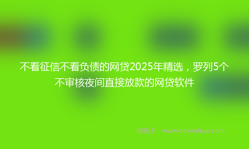 不看征信不看负债的网贷2025年精选,罗列5个不审核夜间直接放款的网贷软件