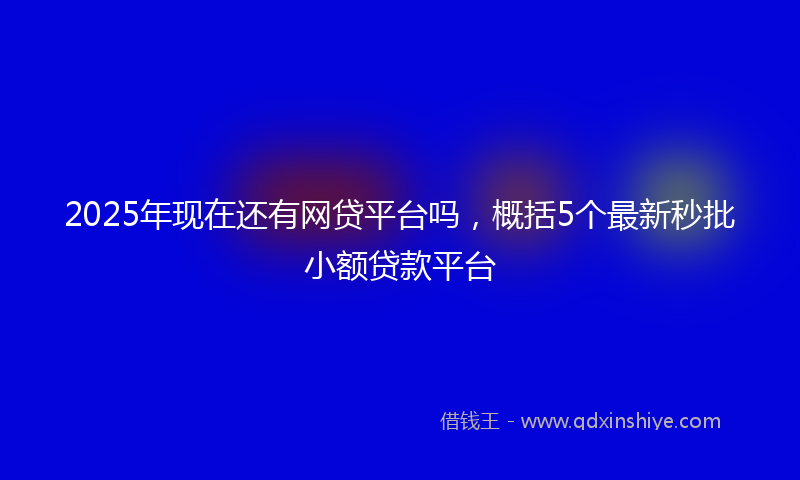2025年现在还有网贷平台吗，概括5个最新秒批小额贷款平台