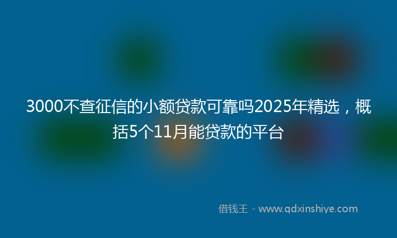 3000不查征信的小额贷款可靠吗2025年精选，概括5个11月能贷款的平台