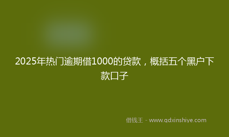 2025年热门逾期借1000的贷款，概括五个黑户下款口子