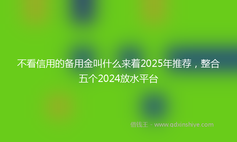 不看信用的备用金叫什么来着2025年推荐，整合五个2024放水平台