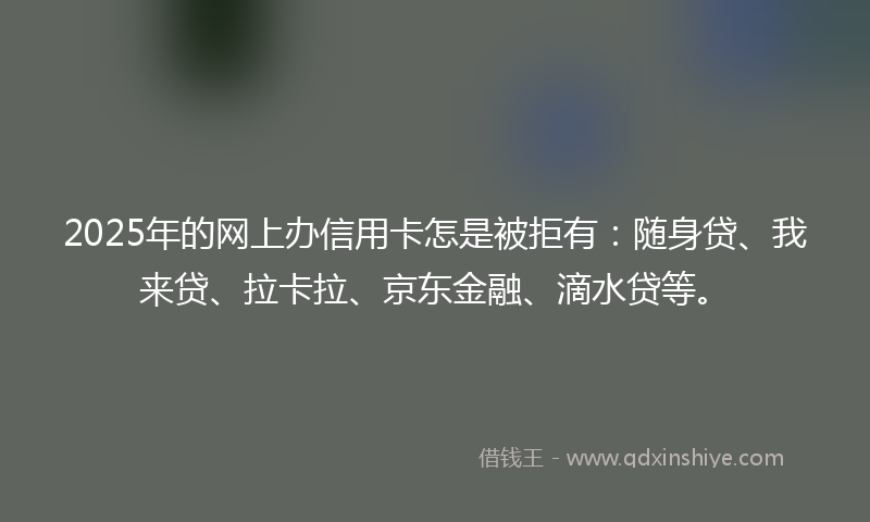 2025年的网上办信用卡怎是被拒有：随身贷、我来贷、拉卡拉、京东金融、滴水贷等。