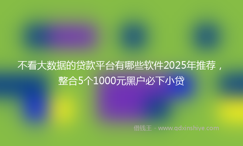 不看大数据的贷款平台有哪些软件2025年推荐，整合5个1000元黑户必下小贷