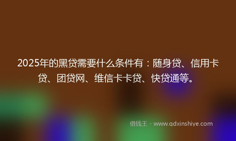 2025年的黑贷需要什么条件有：随身贷、信用卡贷、团贷网、维信卡卡贷、快贷通等。