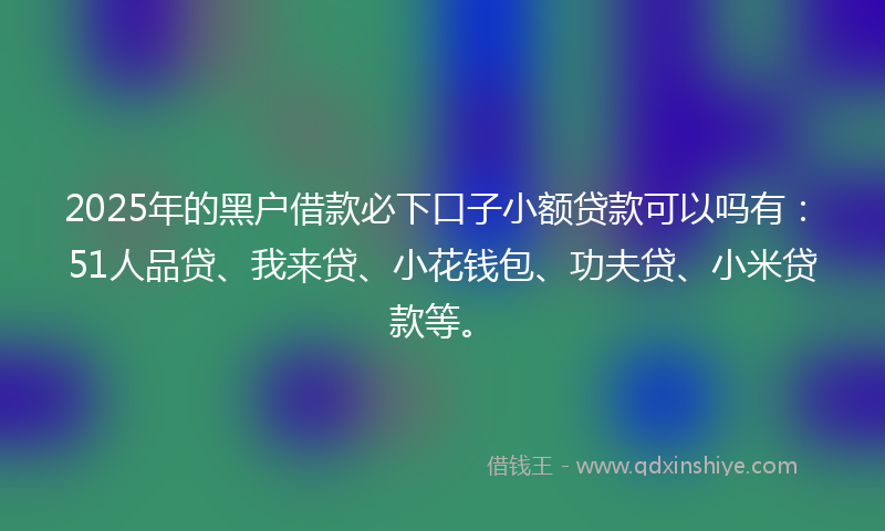 2025年的黑户借款必下口子小额贷款可以吗有：51人品贷、我来贷、小花钱包、功夫贷、小米贷款等。