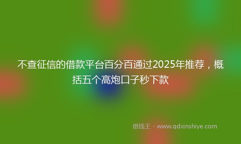 不查征信的借款平台百分百通过2025年推荐，概括五个高炮口子秒下款