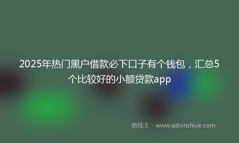 2025年热门黑户借款必下口子有个钱包，汇总5个比较好的小额贷款app