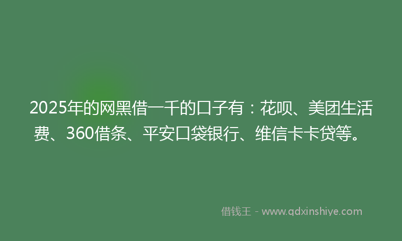 2025年的网黑借一千的口子有：花呗、美团生活费、360借条、平安口袋银行、维信卡卡贷等。