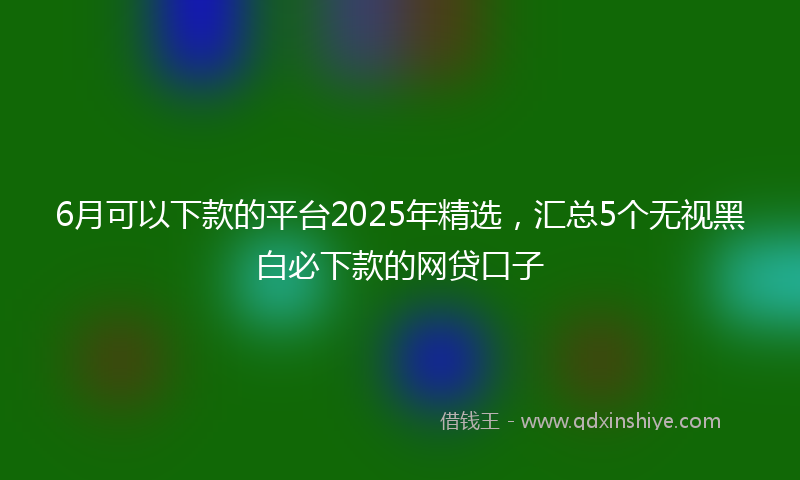 6月可以下款的平台2025年精选，汇总5个无视黑白必下款的网贷口子