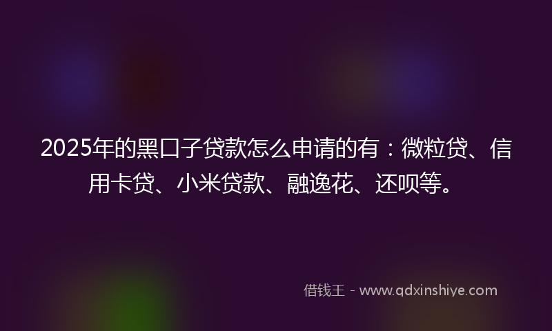 2025年的黑口子贷款怎么申请的有：微粒贷、信用卡贷、小米贷款、融逸花、还呗等。