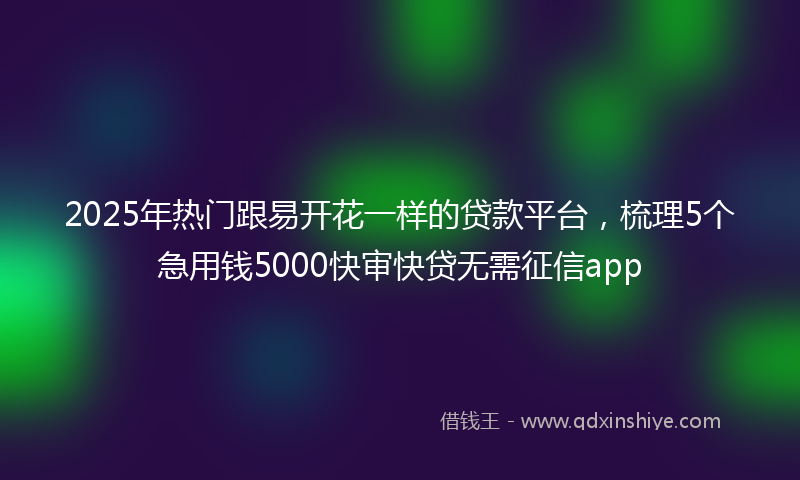 2025年热门跟易开花一样的贷款平台，梳理5个急用钱5000快审快贷无需征信app