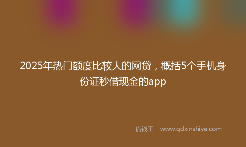 2025年热门额度比较大的网贷，概括5个手机身份证秒借现金的app