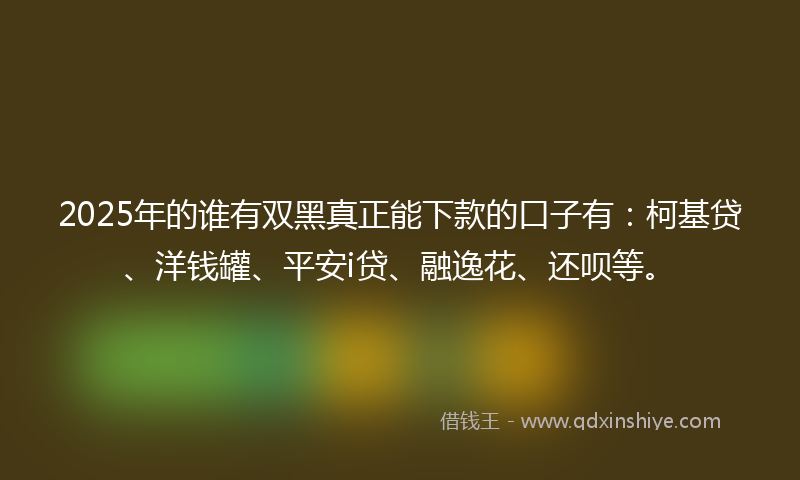 2025年的谁有双黑真正能下款的口子有：柯基贷、洋钱罐、平安i贷、融逸花、还呗等。
