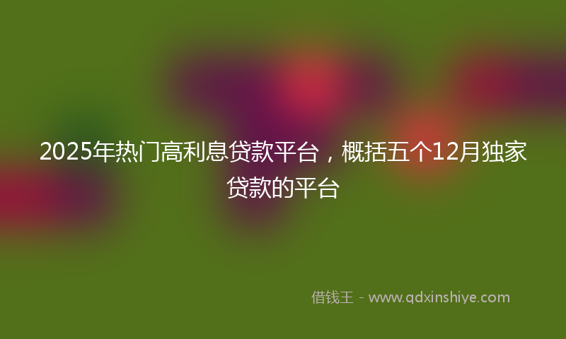 2025年热门高利息贷款平台，概括五个12月独家贷款的平台