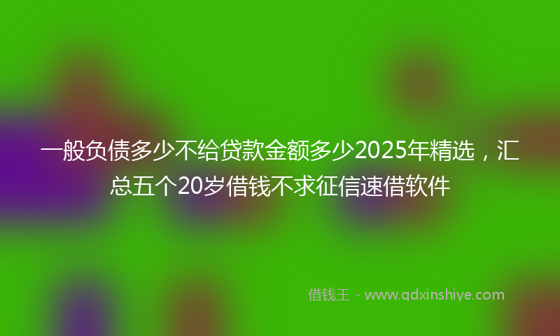 一般负债多少不给贷款金额多少2025年精选，汇总五个20岁借钱不求征信速借软件
