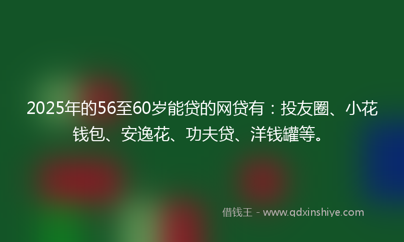 2025年的56至60岁能贷的网贷有：投友圈、小花钱包、安逸花、功夫贷、洋钱罐等。
