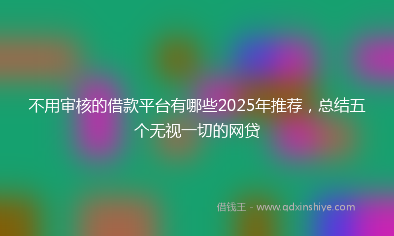 不用审核的借款平台有哪些2025年推荐，总结五个无视一切的网贷