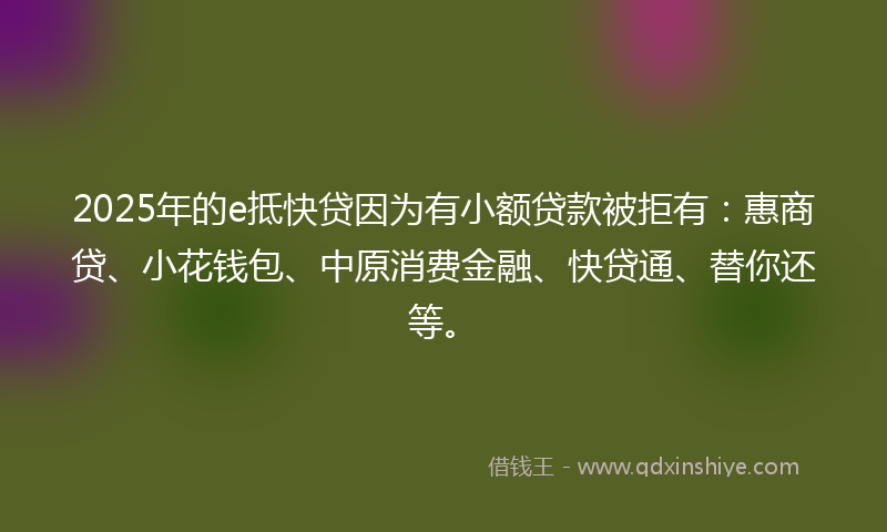 2025年的e抵快贷因为有小额贷款被拒有：惠商贷、小花钱包、中原消费金融、快贷通、替你还等。