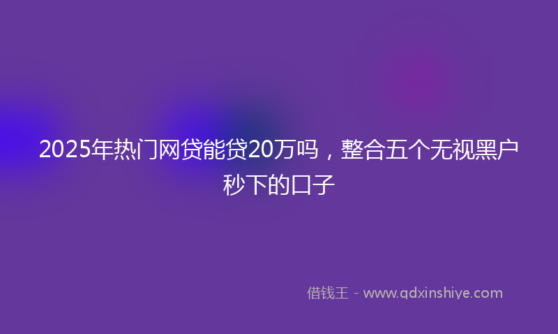 2025年热门网贷能贷20万吗，整合五个无视黑户秒下的口子