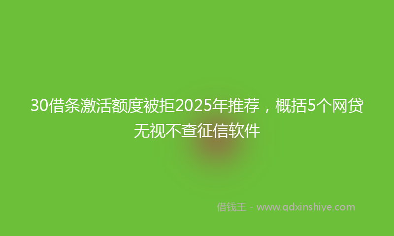 30借条激活额度被拒2025年推荐,概括5个网贷无视不查征信软件