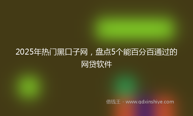 2025年热门黑口子网,盘点5个能百分百通过的网贷软件