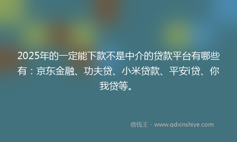 2025年的一定能下款不是中介的贷款平台有哪些有：京东金融、功夫贷、小米贷款、平安i贷、你我贷等。