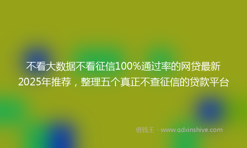 不看大数据不看征信100%通过率的网贷最新2025年推荐，整理五个真正不查征信的贷款平台