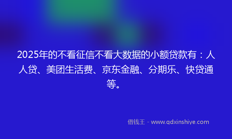 2025年的不看征信不看大数据的小额贷款有：人人贷、美团生活费、京东金融、分期乐、快贷通等。