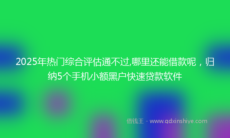 2025年热门综合评估通不过,哪里还能借款呢，归纳5个手机小额黑户快速贷款软件