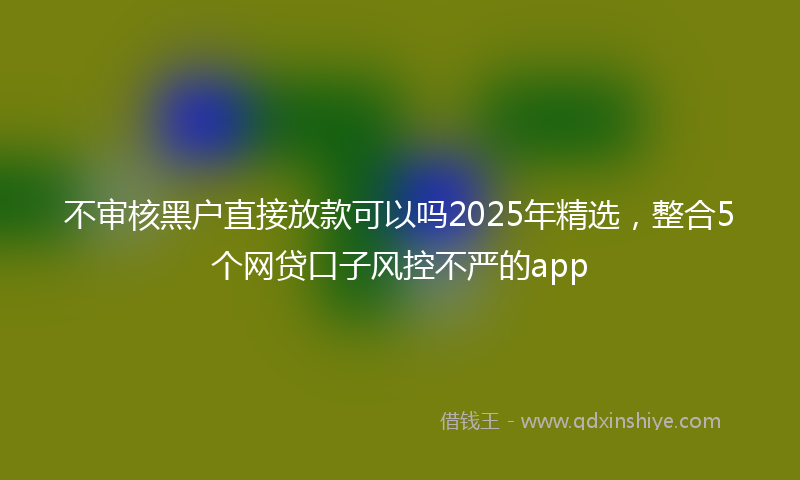不审核黑户直接放款可以吗2025年精选，整合5个网贷口子风控不严的app