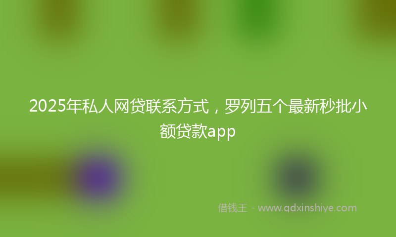2025年私人网贷联系方式，罗列五个最新秒批小额贷款app