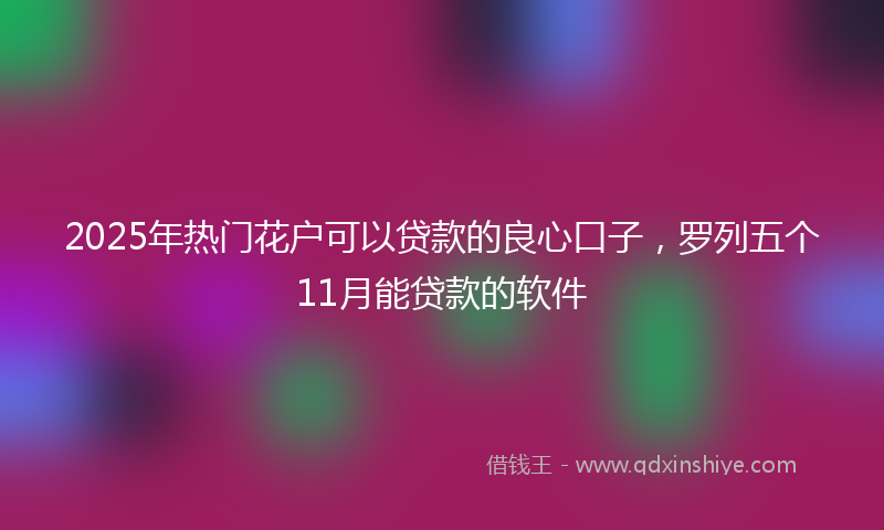 2025年热门花户可以贷款的良心口子，罗列五个11月能贷款的软件
