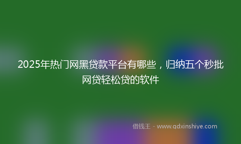 2025年热门网黑贷款平台有哪些，归纳五个秒批网贷轻松贷的软件