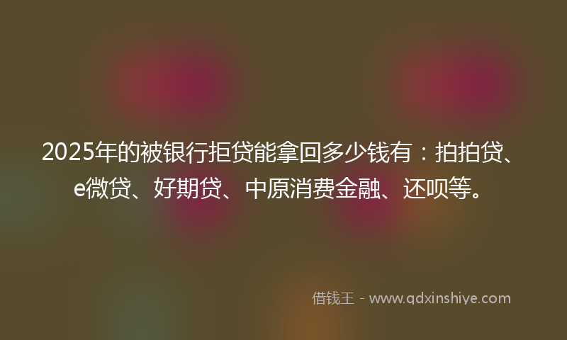 2025年的被银行拒贷能拿回多少钱有：拍拍贷、e微贷、好期贷、中原消费金融、还呗等。