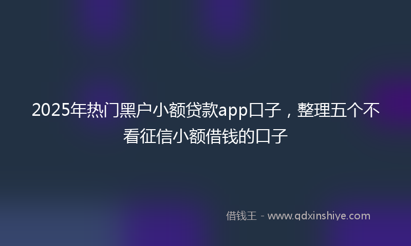 2025年热门黑户小额贷款app口子，整理五个不看征信小额借钱的口子