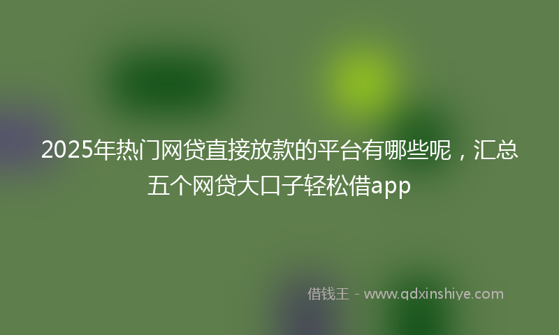 2025年热门网贷直接放款的平台有哪些呢，汇总五个网贷大口子轻松借app