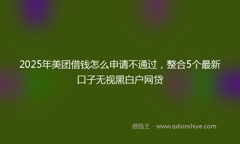 2025年美团借钱怎么申请不通过，整合5个最新口子无视黑白户网贷