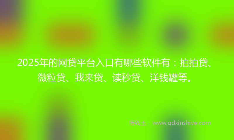 2025年的网贷平台入口有哪些软件有：拍拍贷、微粒贷、我来贷、读秒贷、洋钱罐等。