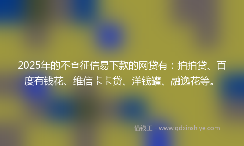 2025年的不查征信易下款的网贷有：拍拍贷、百度有钱花、维信卡卡贷、洋钱罐、融逸花等。