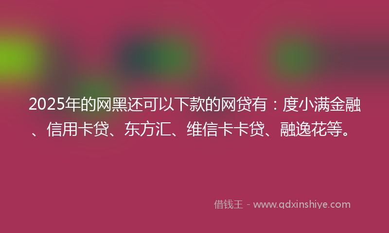 2025年的网黑还可以下款的网贷有：度小满金融、信用卡贷、东方汇、维信卡卡贷、融逸花等。